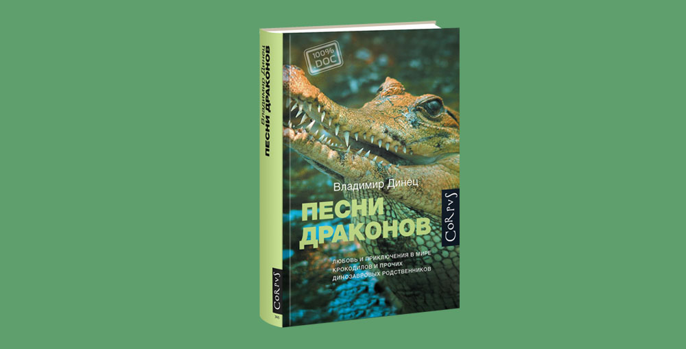 Песни драконов 3. Песни драконов 3. Тайный мир драконов 3. Песни драконов 3. Песня дракона.