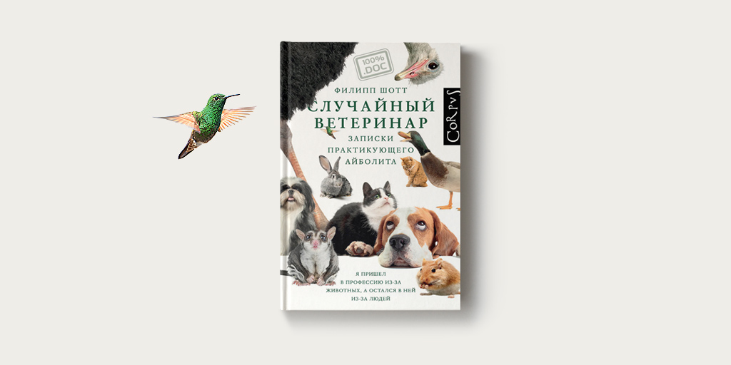 Кошка дэвид тейлор план