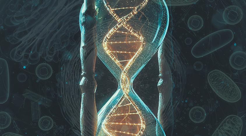 Научпоп для зимнего чтения