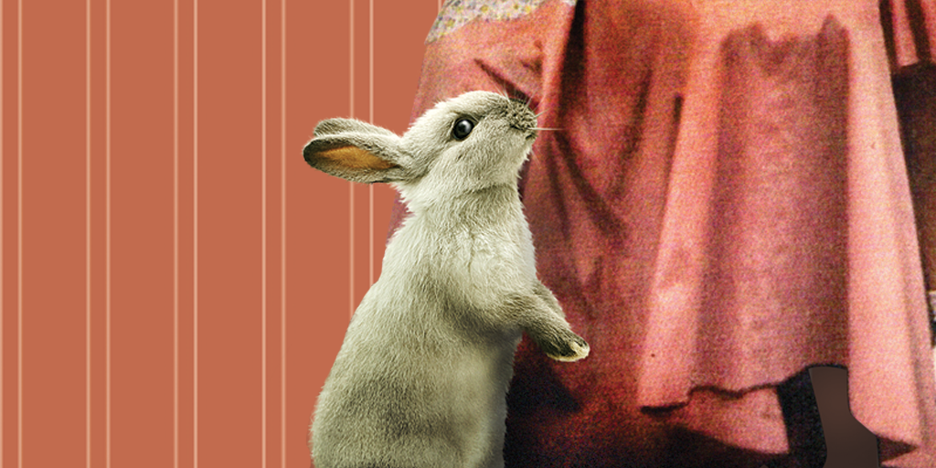 От боксера до английской домохозяйки: книги с&nbsp;яркими героинями