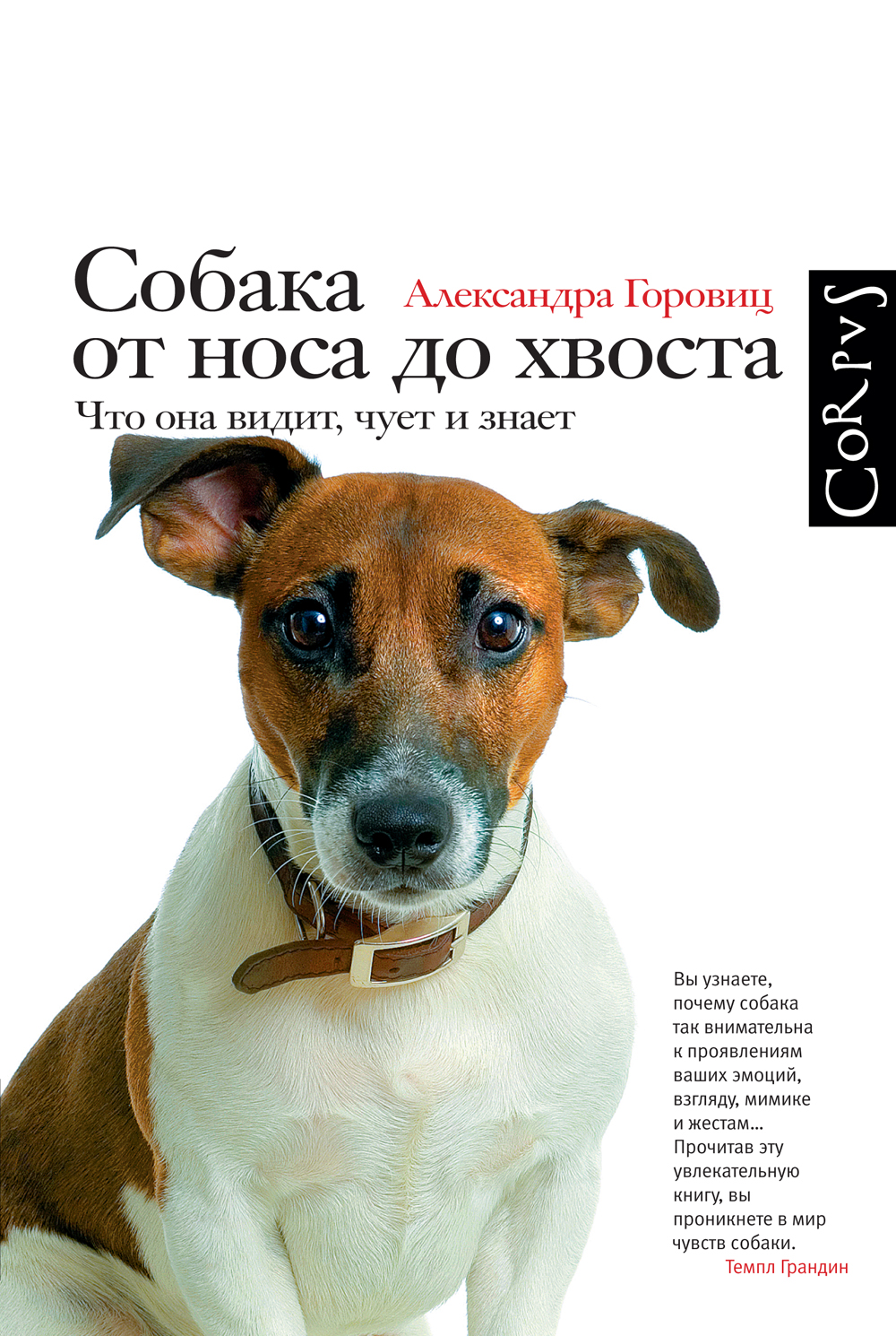 inside of a dog horowitz inside of a dog horowitz