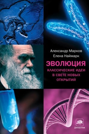 Александр Гаврилов